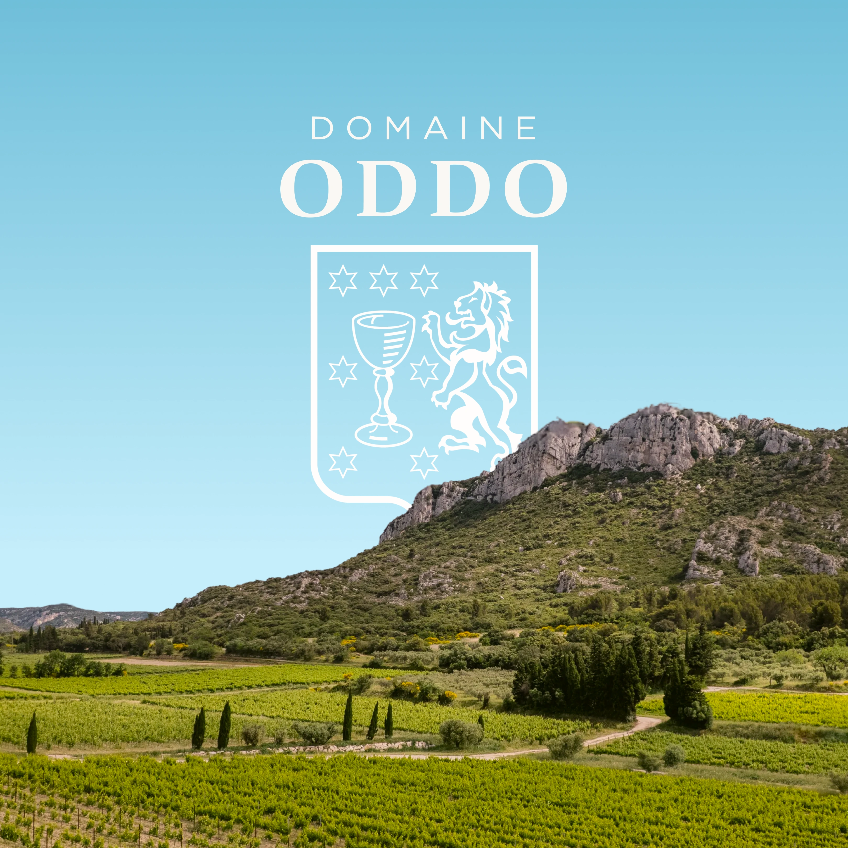 Domaine Oddo