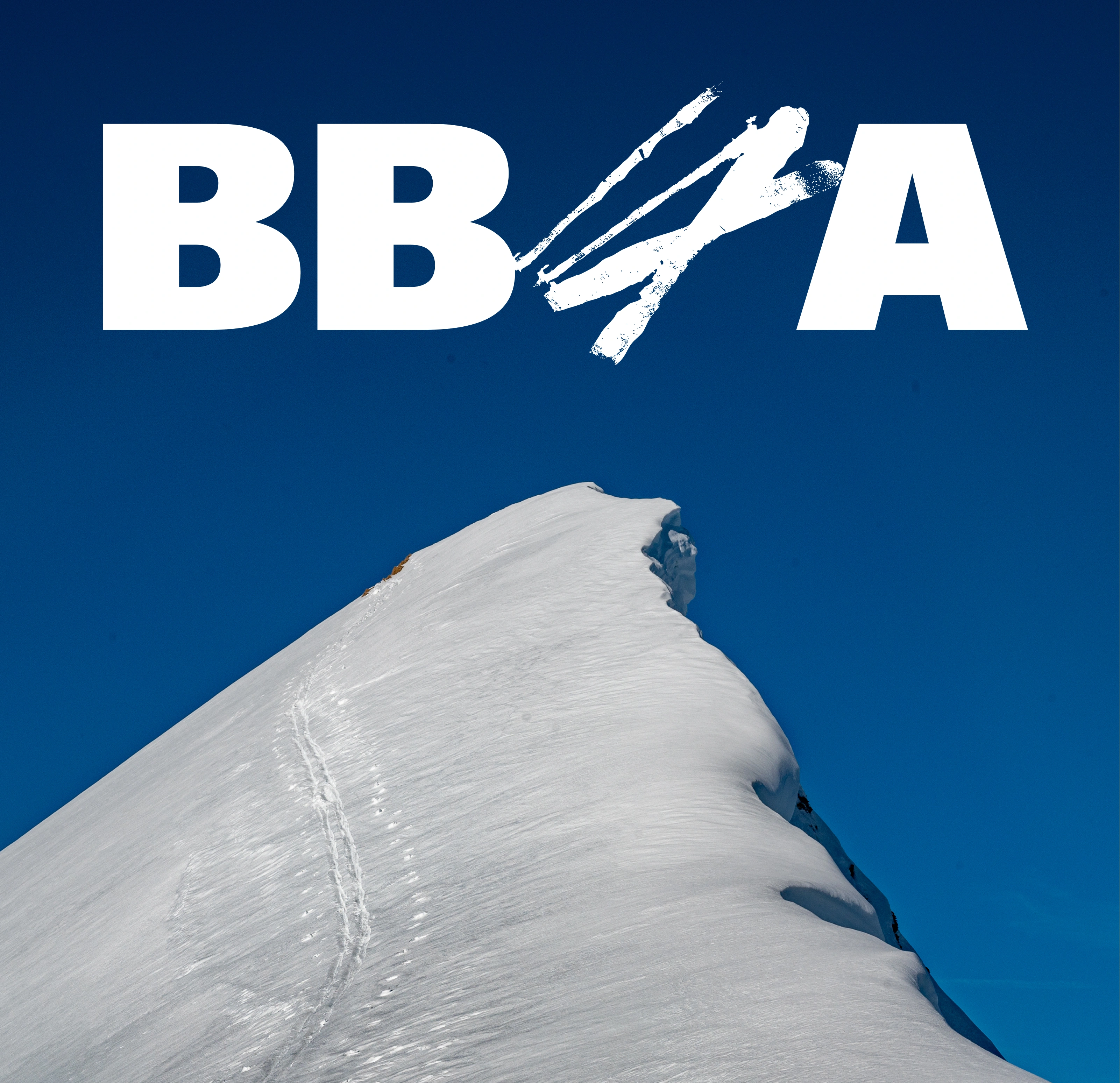 Blue Bird Agency